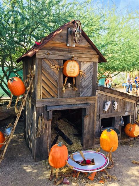 Enchanted Pumpkin Garden 18 Oct 2019
