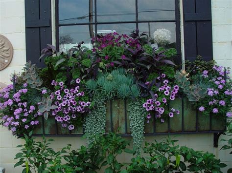 Gorgeous Shade Plants For Window Boxes Ideas 130 Roomy Window Box