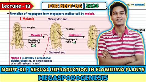 Lec 18 Megasporogenesis Sexual Reproduction In Flowering Plants