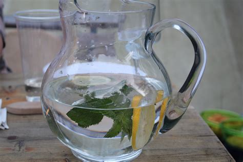 Kostenlose Foto Wasser Tee Glas Produzieren Krug Destilliertes Getränk Trinkgeschirr