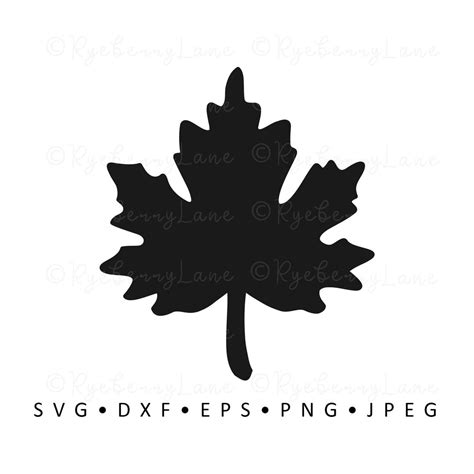Maple Leaf Svg Maple Leaf Vector Maple Leaf Clipart Autumn Svg