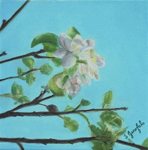 Apple Blossoms Painting By Skye Garofalo Pixels
