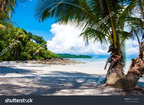 Beautiful Tropical Beach With White Sand Blue Waters And