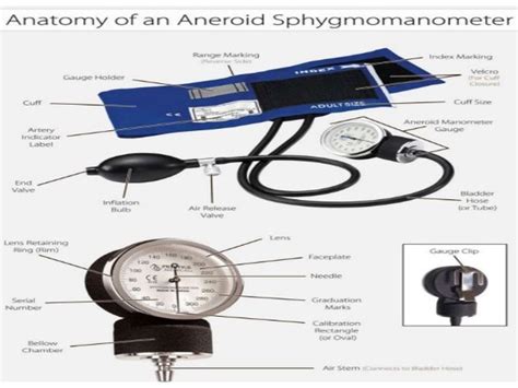 Sphygmomanometer Parts Names