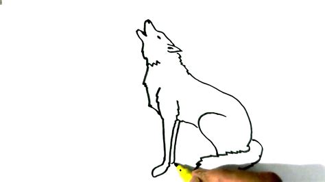 You might think that drawing is like touching your tongue to your nose: How to draw Wolf Howling- in easy steps for children ...