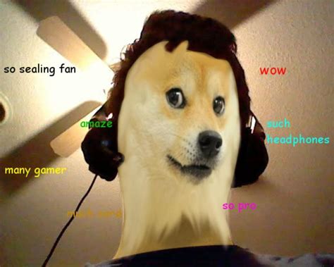 Such Games Doge Know Your Meme