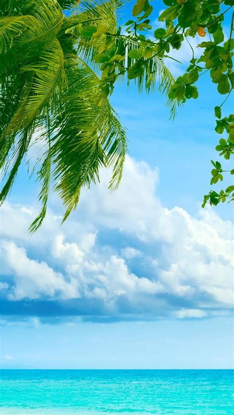 Exotic Beach Resort Best Htc One Wallpapers Free And Easy To Download