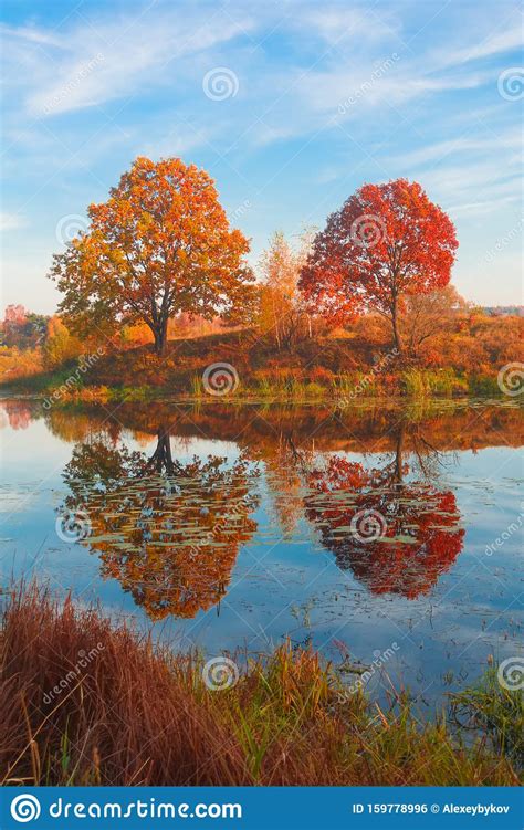 Beautiful Autumn Landscape Forest Lake With Reflection Stock Photo