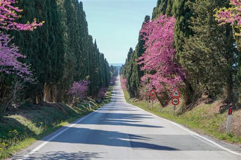 Stopping at viale dei cipressi is sure to be an experience. Il Viale dei Cipressi di Bolgheri | Visit Tuscany