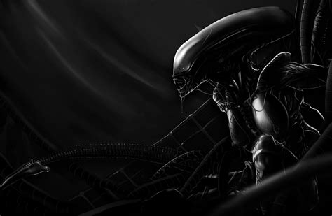 Female Xenomorph Exploring The Gender Of Aliens Avp Central