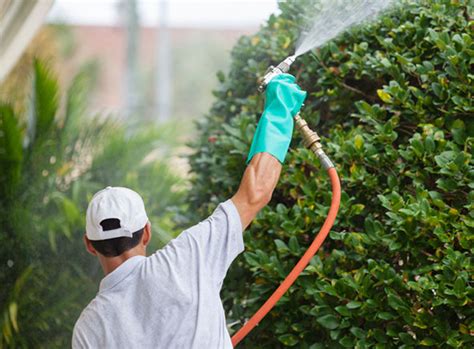 There's a variety of pests that make it impossible to enjoy your time outdoors. Services | Advanced Turf Care, LLC.