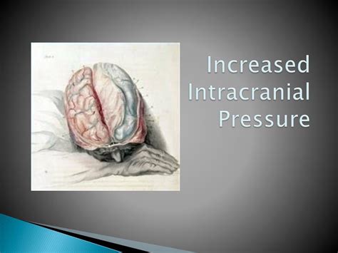 Ppt Altered Cerebral Function And Increased Intracranial Pressure