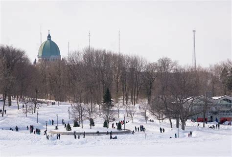 Winter Activities in Montreal: A Guide to Mount Royal Park - Greater Abroad