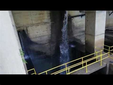 Creel (harvest) and length limits creel (harvest) and length limits the tables that follow give statewide creel smith mountain lake and its tributaries. Lewis Smith Lake Dam - YouTube