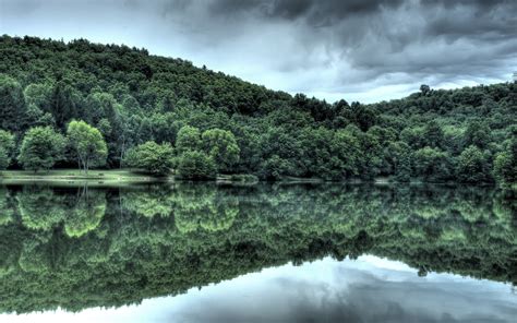 Wallpaper Landscape Forest Lake Nature Reflection Green River