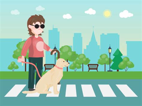 180 Blind Man Crossing Road Stock Photos Pictures And Royalty Free