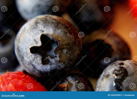 Assortment Of Berries Stock Image Image Of Raspberry 242039307