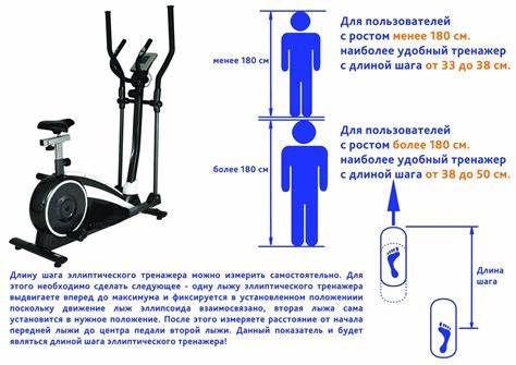 Можно ли похудеть от эллиптического тренажера отзывы