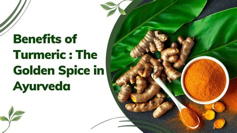 Benefits Of Turmeric The Golden Spice In Ayurveda