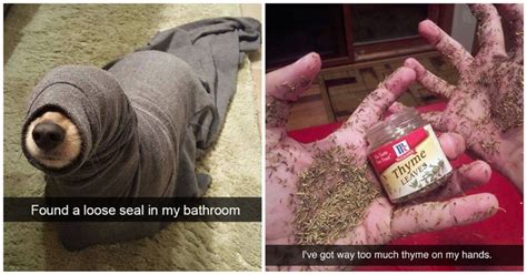 If Youre Having A Rough Day These Hilarious Snapchats Will