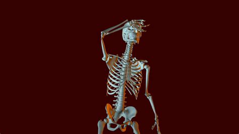 Dancing Skeleton Animation Stock Motion Graphics Sbv 300272916