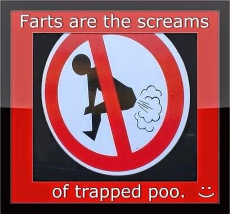 Funny Fart Memes S Pics Jokes Videos Stories Pranks Quotes