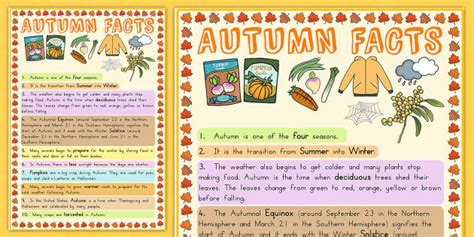 Autumn Information Poster Teacher Made Twinkl