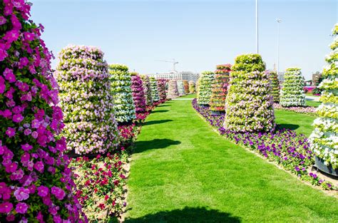 A collection of the top 62 japanese flower garden wallpapers and backgrounds available for download for free. Dubai Miracle Garden - Designsekcja