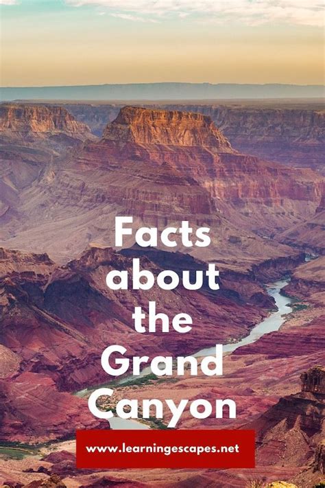 Then we headed up to the grand canyon national park south rim, which took about 45 minutes. Fun Facts about the Grand Canyon for kids (and curious ...