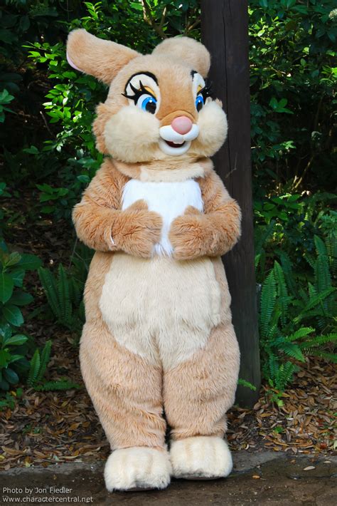 Miss Bunny Disney Wiki