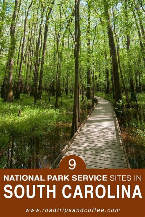 A Wooden Walkway In The Woods With Text Overlay Reading 9 National Park