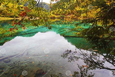 Colorful Lake In Jiuzhai Valley Stock Photo Image Of Swimming World