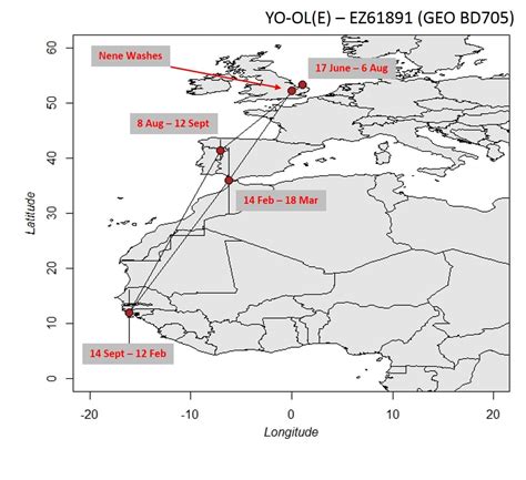 From broad ranges to migratory routes: YO-OL(E) Migratory movements - Project Godwit