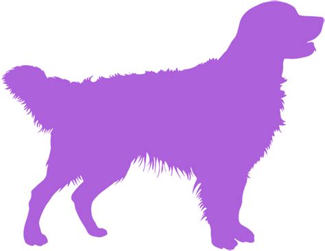 9170 Golden Retriever Silhouette Svg Free Svg Png Eps Dxf File Best