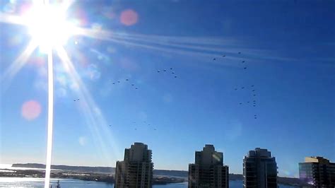 Uss Stennis Air Wing In Flight Over San Diego Youtube