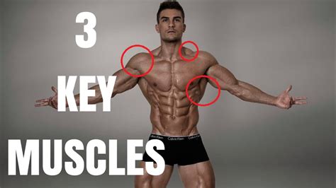 3 Key Muscle Groups That Make You Look Bigger