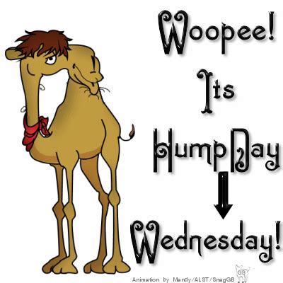 Woopee It S Hump Day Wednesday Days Days Of The Week Good Morning Wednesday Hump Funny