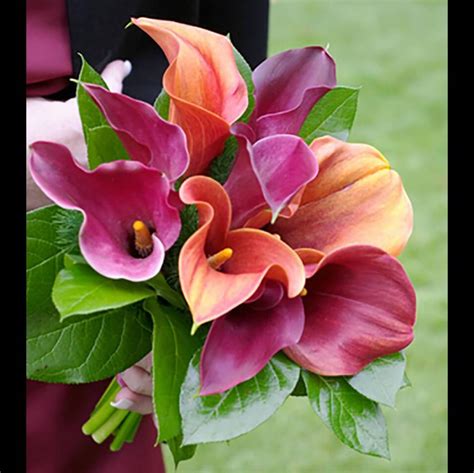 Pictures Of Calla Lily Bridal Bouquets Lovetoknow