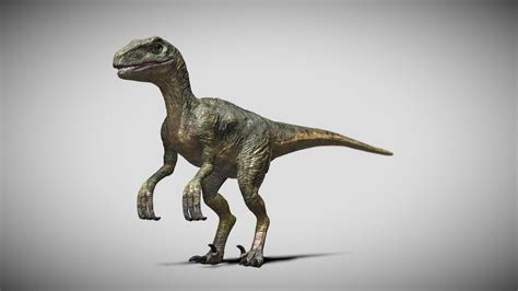 Raptor Dinosaur 3d Model Realistic And Rigged 3d Model Ubicaciondepersonascdmxgobmx