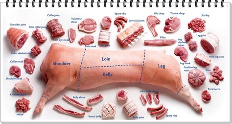 Valle Del Gallo Cortes De Carne De Cerdo Pork Meat Cuts