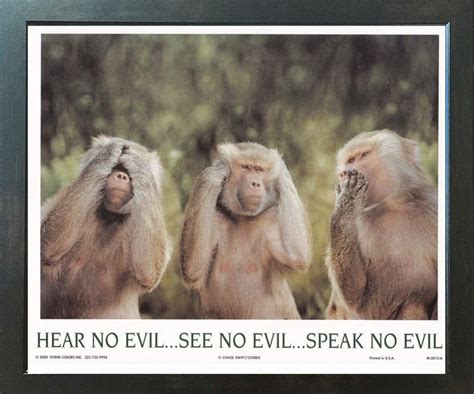 Monkeys Hear No Evil See No Evil Speak No Evil Espresso Framed Art