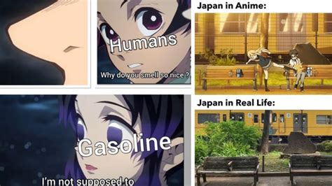 20 Anime Memes For The Weeb In You Know Your Meme