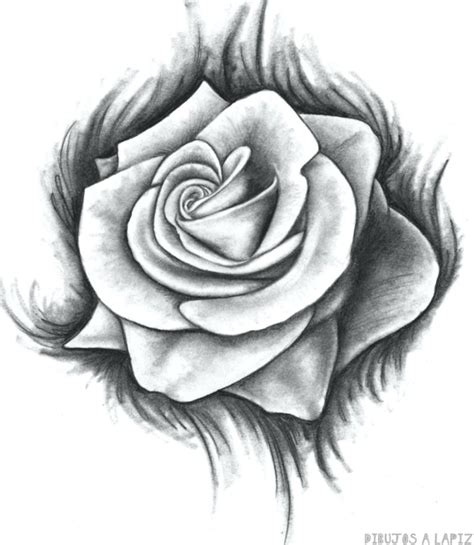 磊 Dibujos de rosas 30Fáciles y Gratis