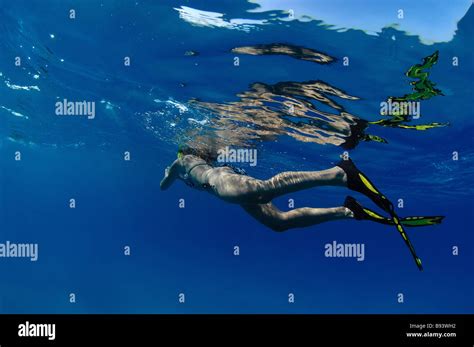 Female Skin Diver Caribbean Sea Bahamas Stock Photo Alamy
