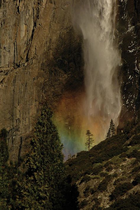 Yosemite National Park Rainbow Over Lower Falls Photograph By Donald
