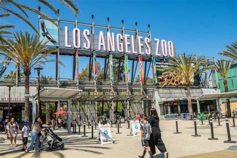 Plan Your Visit Los Angeles Zoo And Botanical Gardens La Zoo