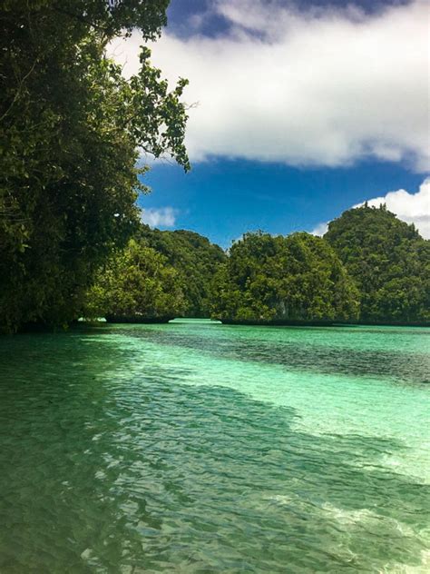 Palau Exploring The Rock Islands Wilderness Travel Blog