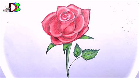 How To Draw Easy Rose Flowers Best Flower Site