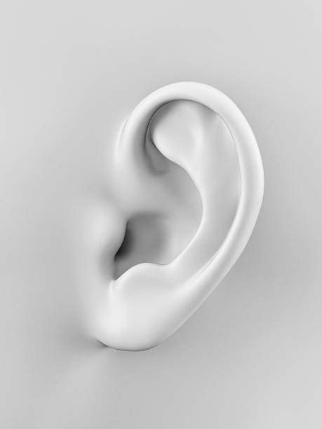 44600 Human Ear Stock Photos Pictures And Royalty Free Images Istock