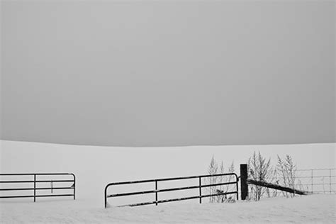 Snow Photography Ultimate Photo Tips